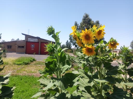 عکس آتش نشانی