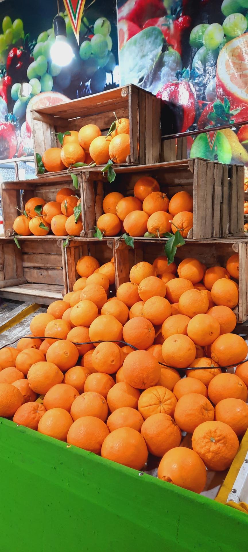 عکس میوه‌فروشی‌برادران لطفی