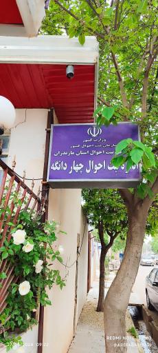 عکس اداره ثبت احوال کیاسر 