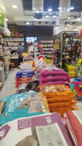 عکس هایپر پت شیرازی