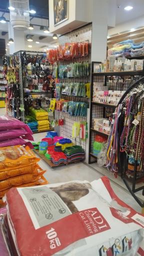 عکس هایپر پت شیرازی