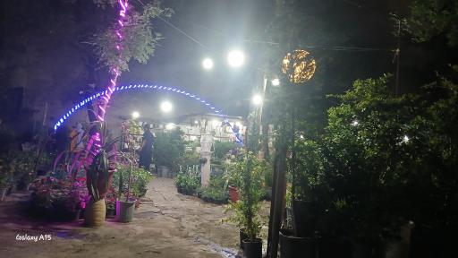 عکس گل و گیاه تهرانپارس 