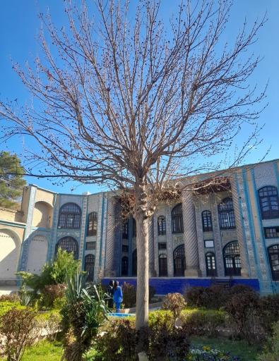 عکس تکیه معاون الملک