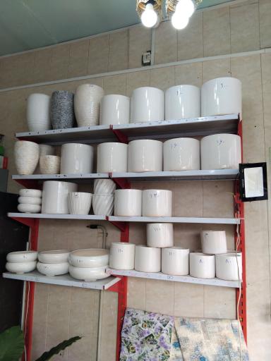 عکس عرضه گل و گلدان آپارتمانی طلایی