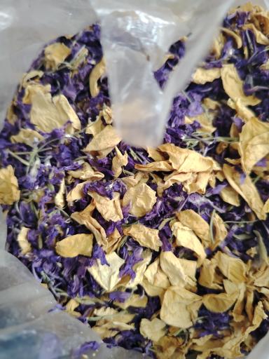 عکس عطاری زکریا راضی