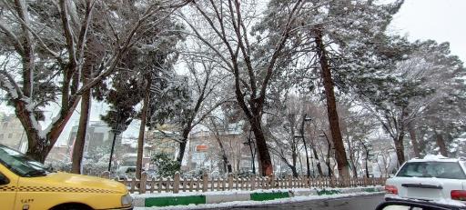 عکس بوستان سعیدی