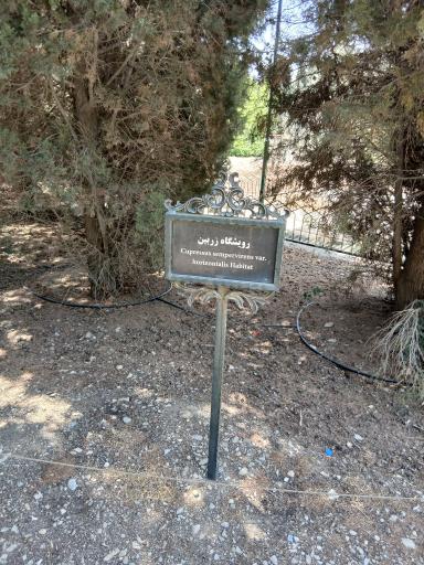 عکس رویشگاه زربین