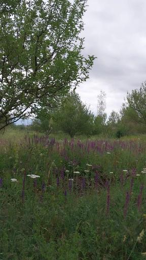 عکس زاویه