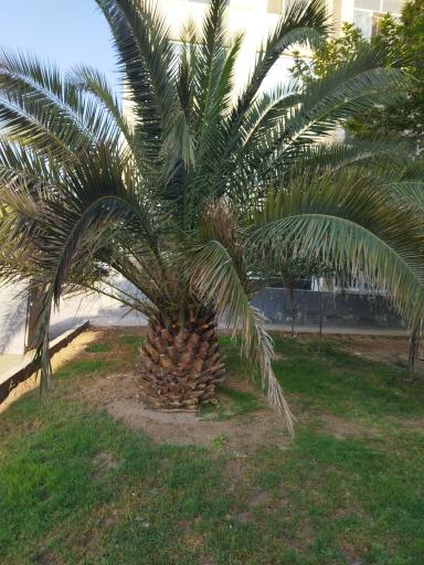 عکس بوستان ایوان