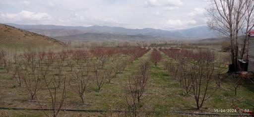 عکس زاویه