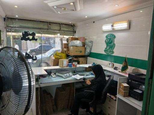 نمایندگی تیپاکس همت