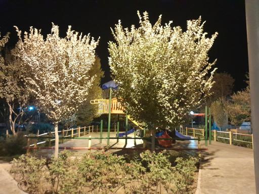 عکس بوستان سعیدی