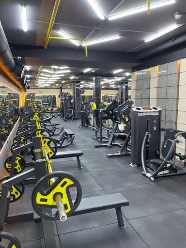عکس باشگاه بدنسازی فرشته ویژه ی بانوان