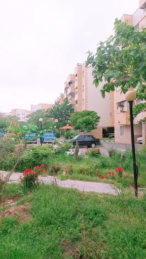 عکس گلستان ۱