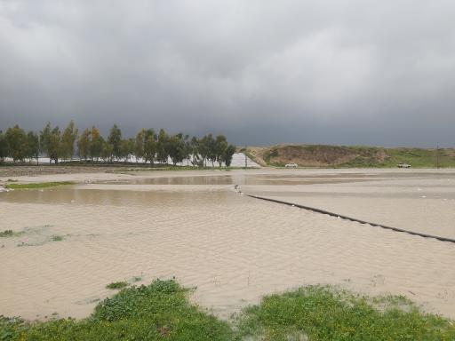 عکس دریاچه فصلی ناصرآباد