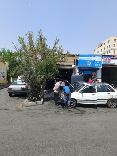 عکس مکانیکی سلیمی