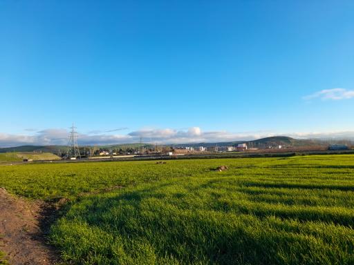 عکس ملک آقای بازاری 