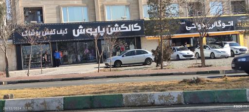 عکس کالکشن پاپوش