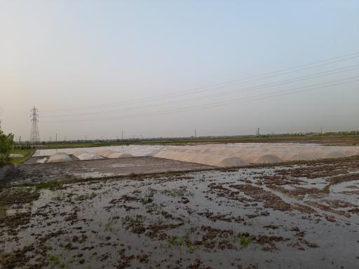 عکس ملک آقای بازاری 