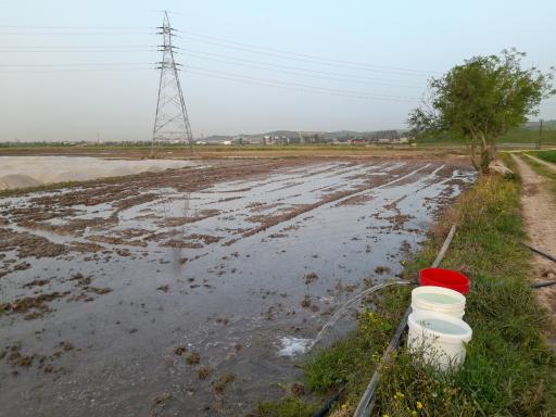 عکس ملک آقای بازاری 