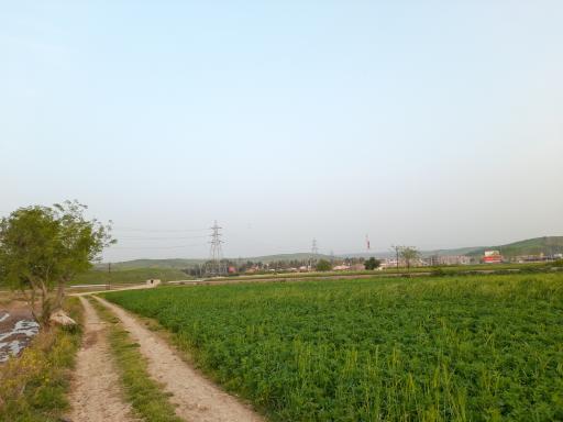 عکس ملک آقای بازاری 