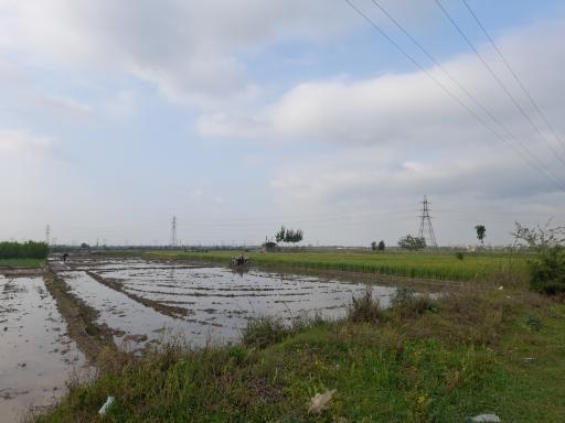 عکس ملک آقای بازاری 