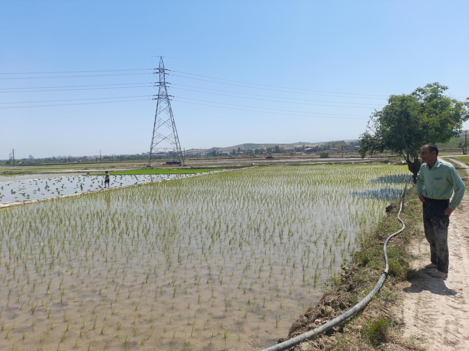 عکس ملک آقای بازاری 