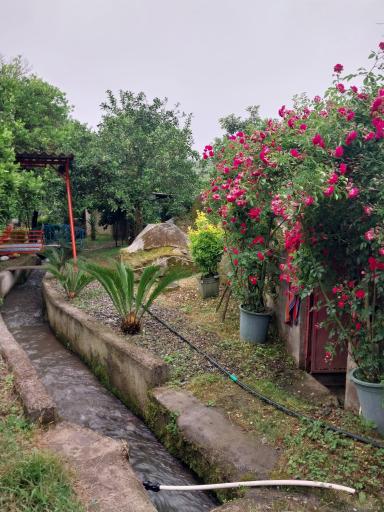 عکس اقامتگاه بومگردی مشتی حسن