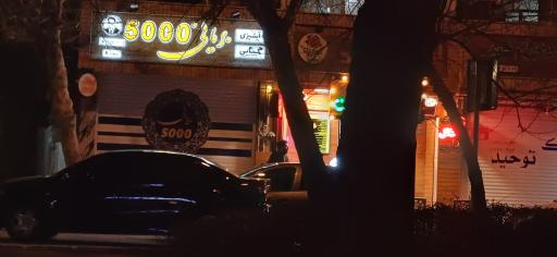 عکس کباب و بریان 5000