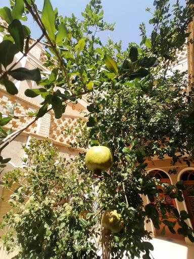 عکس هتل سنتی انار