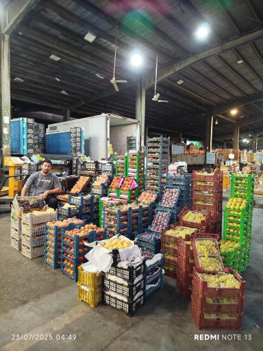 عکس بارفروشی علیرضا مغانلو 