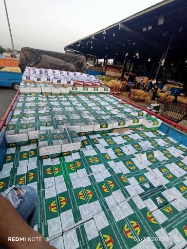 عکس بارفروشی علیرضا مغانلو 