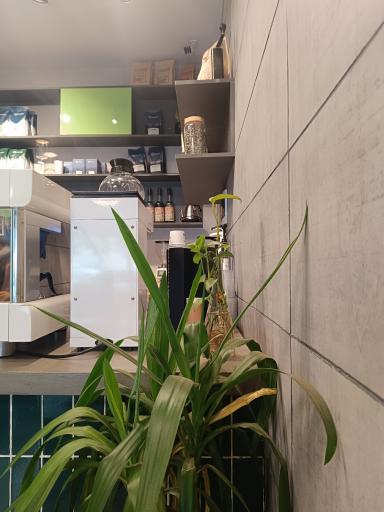 عکس Green Café