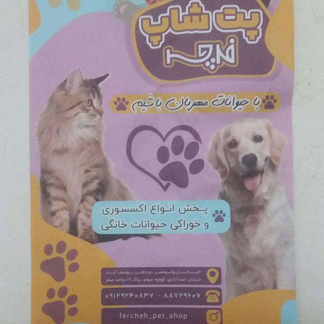 عکس پت شاپ فرچه