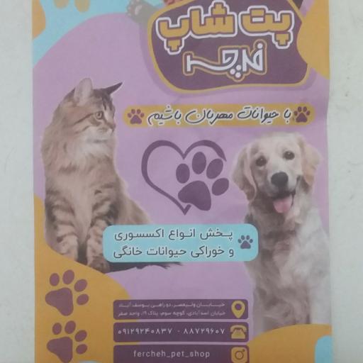 عکس پت شاپ فرچه