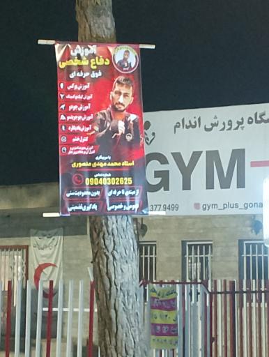 آکادمی دفاع شخصی و بوکس استاد محمد مهدی منصوری 