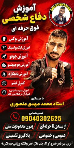 آکادمی دفاع شخصی و بوکس استاد محمد مهدی منصوری 