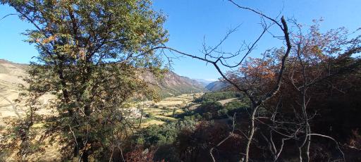 عکس چراغ تپه