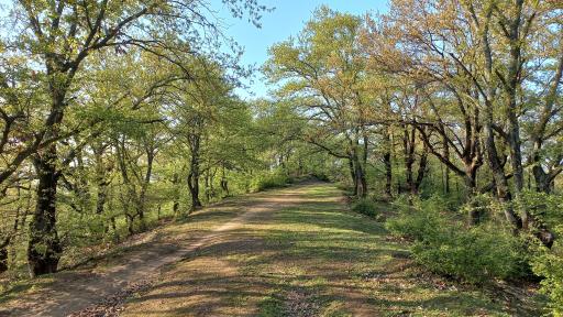 عکس چراغ تپه