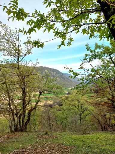 عکس چراغ تپه