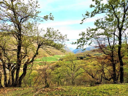 عکس چراغ تپه