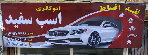 عکس نمایشگاه اتو گالری اسب سفید