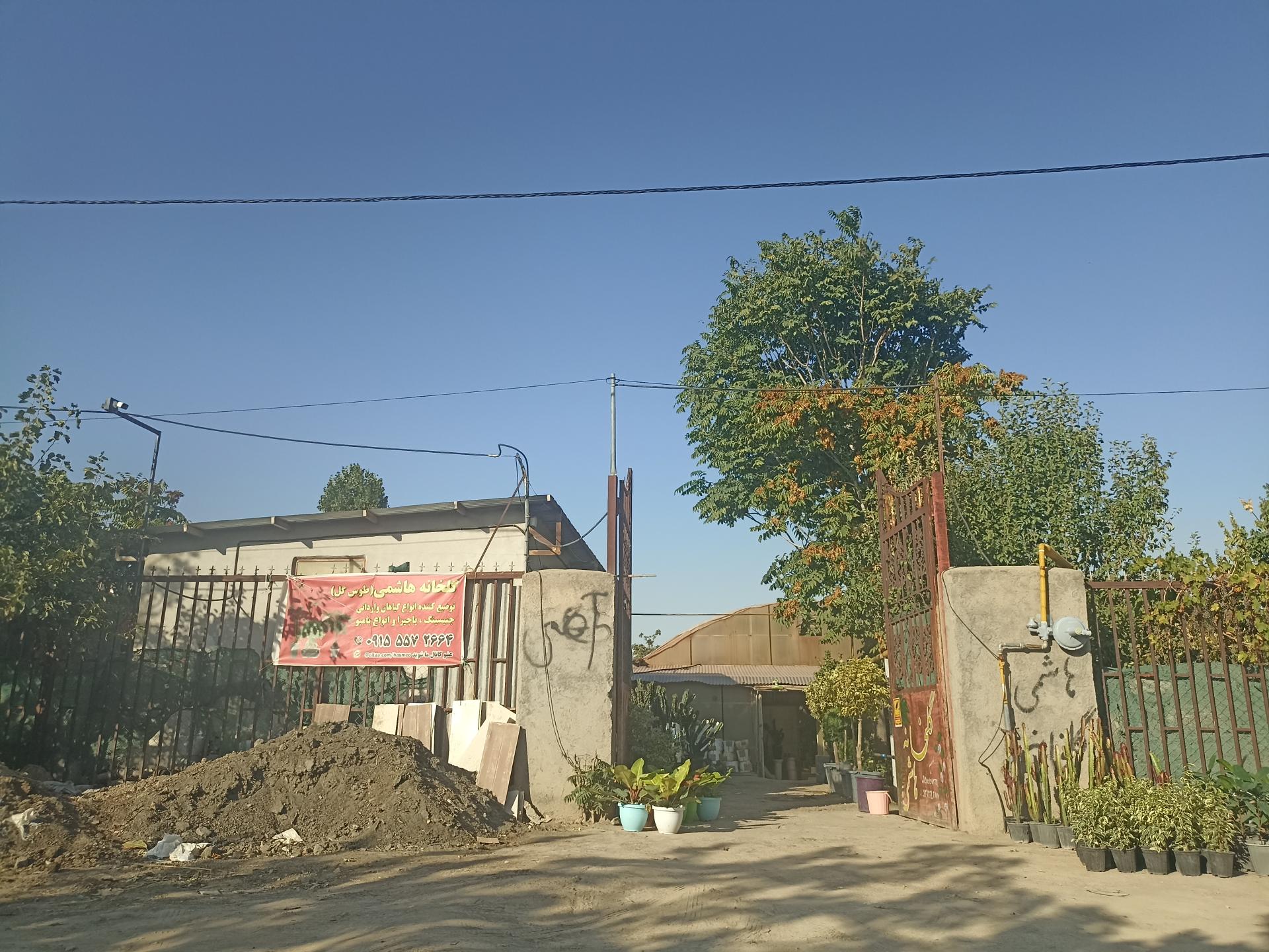 عکس  گلخانه هاشمی