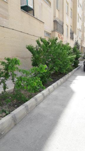 عکس مجتمع مسکونی پریسان یک