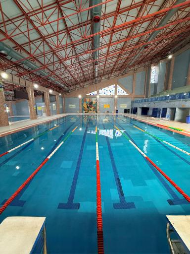 عکس استخر دانشگاه زنجان 