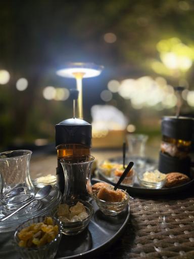 عکس هالیدیز پالازو