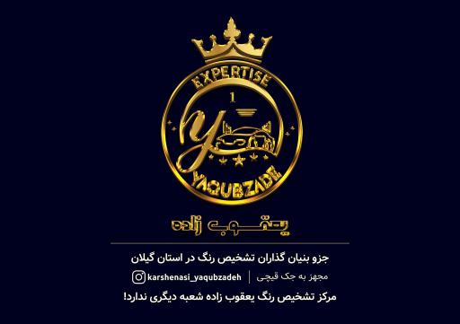 عکس تشخیص رنگ خودرو یعقوب زاده