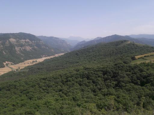 عکس چراغ تپه