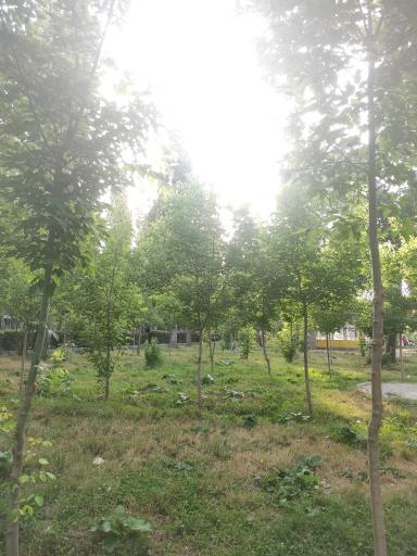 عکس پارک پردیس ابهر