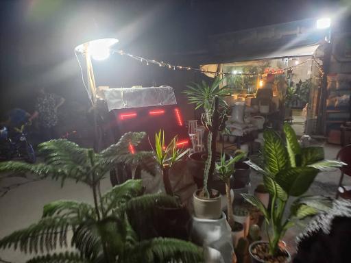 عکس سوپر گل تهرانی